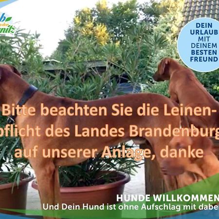 Wellness-Suite-Im-Wald-Am-See Kyritz Esterno foto