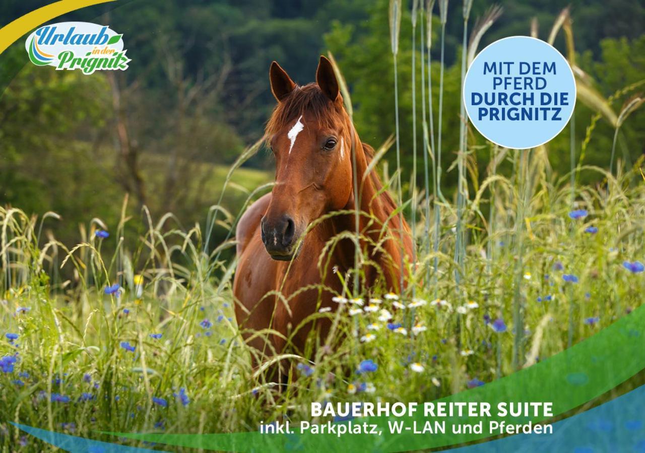 Wellness-Suite-Im-Wald-Am-See Kyritz Esterno foto