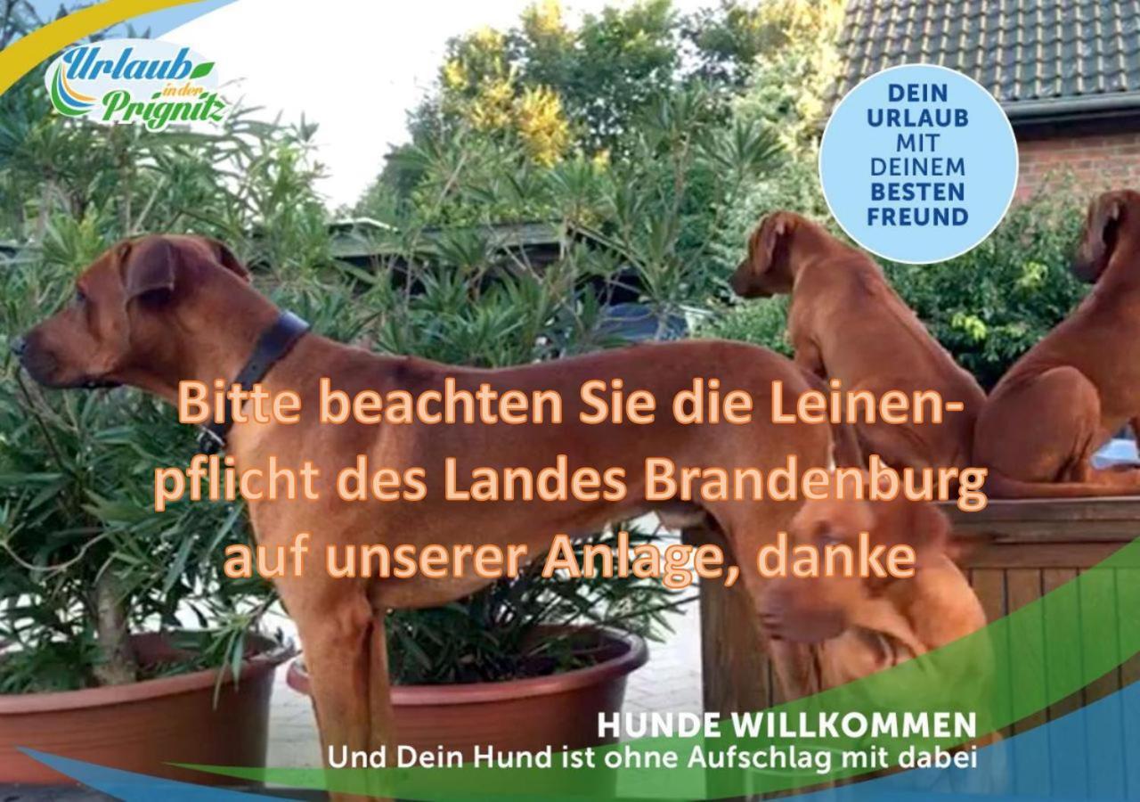 Wellness-Suite-Im-Wald-Am-See Kyritz Esterno foto